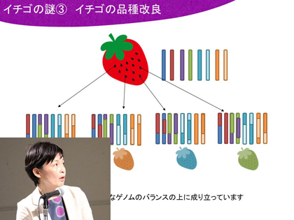 講演会の様子