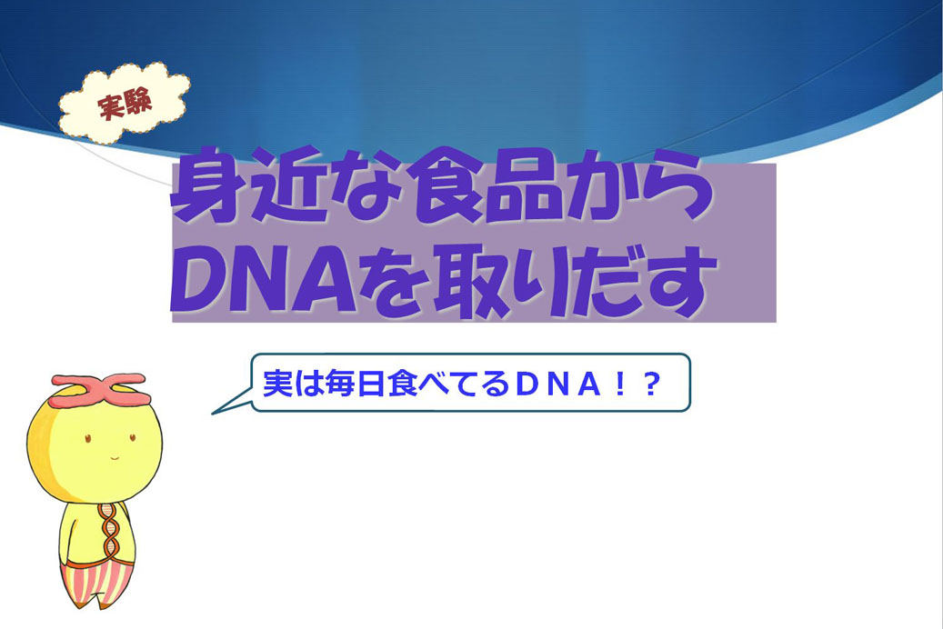 千葉県立木更津高等学校「平成30年度 分子生物学実験講座Ⅰ」