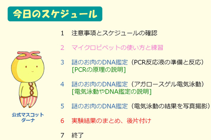 分子生物学実験講座