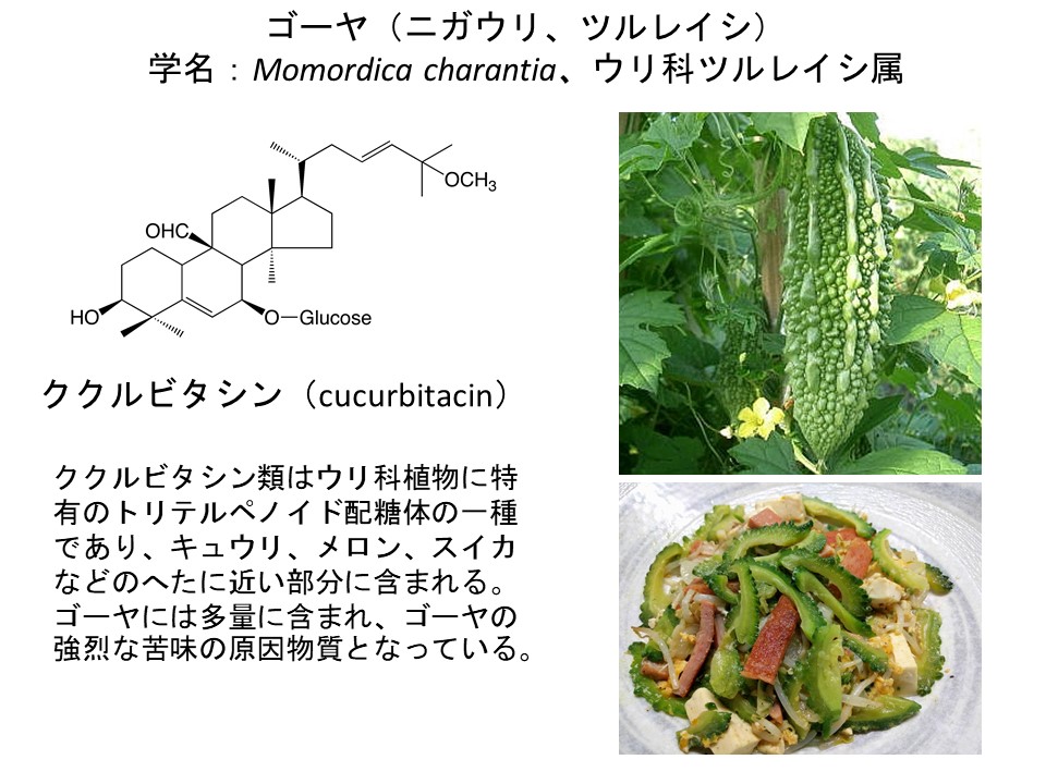 ニガウリの苦味成分 ククルビタシン 合成に関わる遺伝子を発見しました かずさdna研究所 幅広く社会に貢献する研究所をめざしています