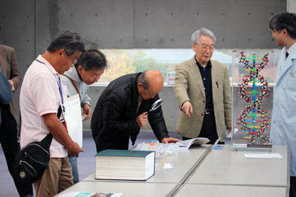 展示の様子