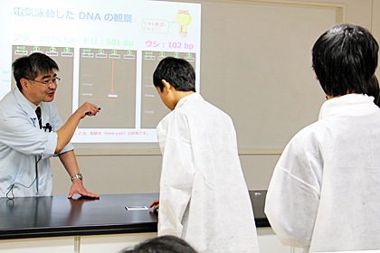 千葉市未来の科学者育成プログラム