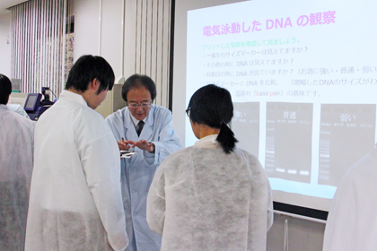 DNA実習の様子