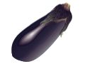 Eggplant