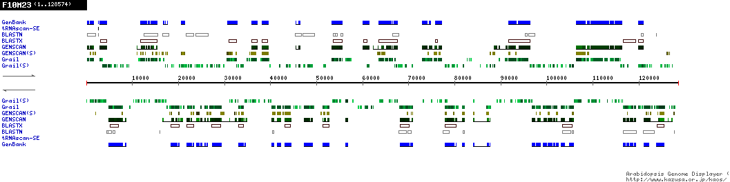 [Image of F10M23]