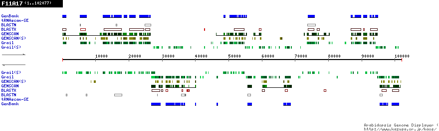 [Image of F11A17]