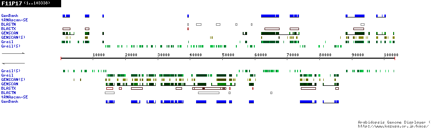 [Image of F11P17]