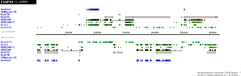 [Image of F12P23]