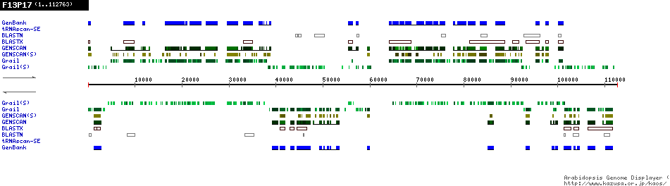 [Image of F13P17]