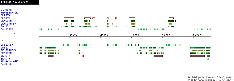 [Image of F14A1]