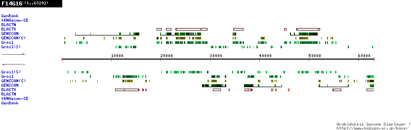 [Image of F14G16]