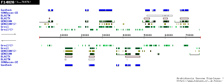 [Image of F14H20]