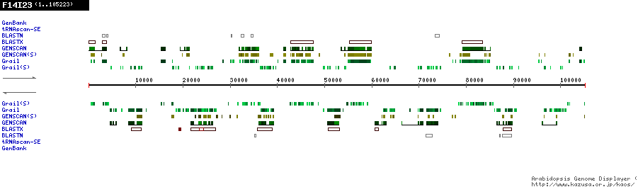 [Image of F14I23]