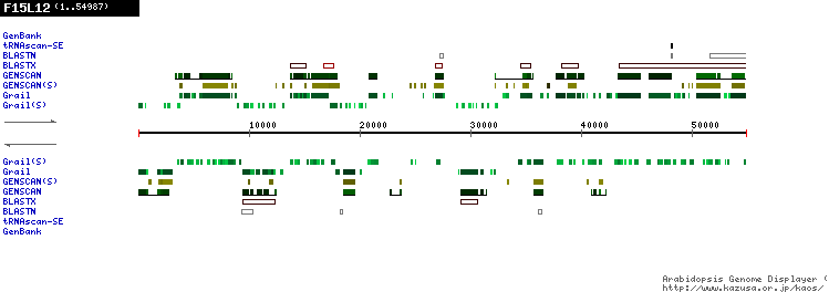 [Image of F15L12]