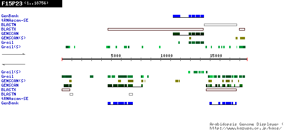 [Image of F15P23]