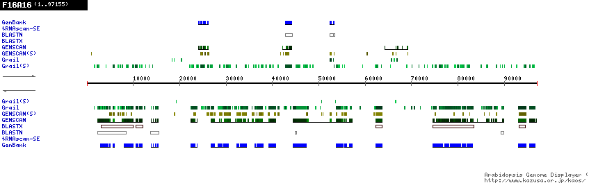 [Image of F16A16]