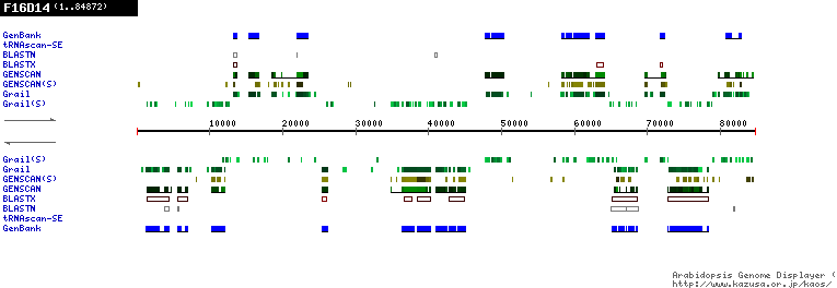 [Image of F16D14]