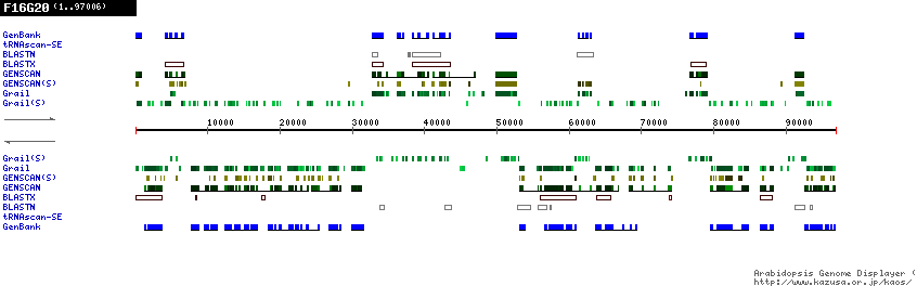 [Image of F16G20]