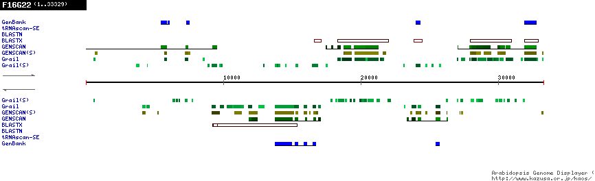 [Image of F16G22]