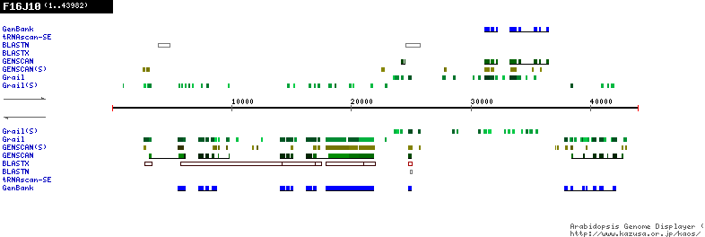 [Image of F16J10]