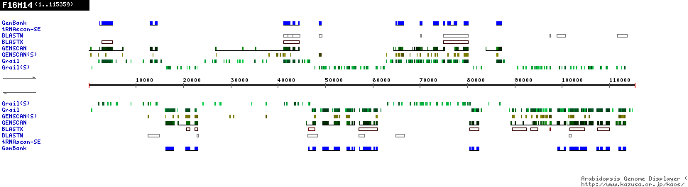 [Image of F16M14]