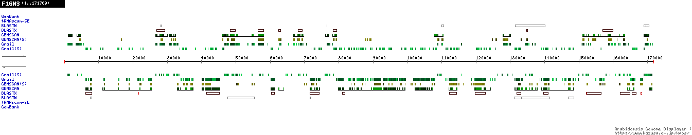 [Image of F16N3]