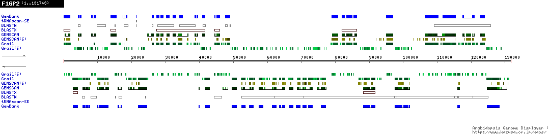 [Image of F16P2]