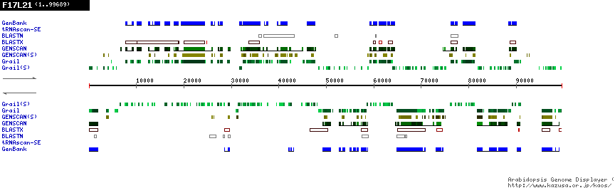 [Image of F17L21]