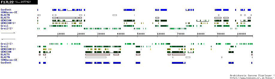 [Image of F17L22]