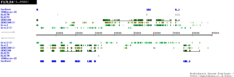 [Image of F17L24]