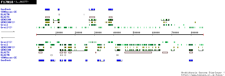 [Image of F17N18]