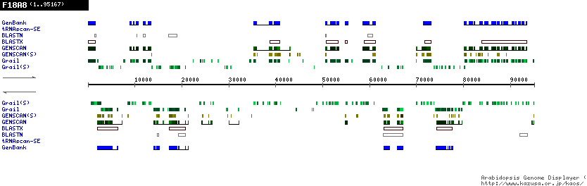 [Image of F18A8]