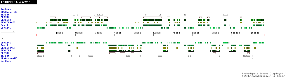 [Image of F18B13]