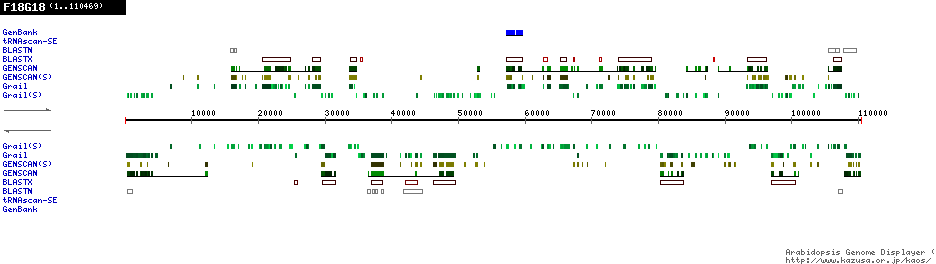 [Image of F18G18]