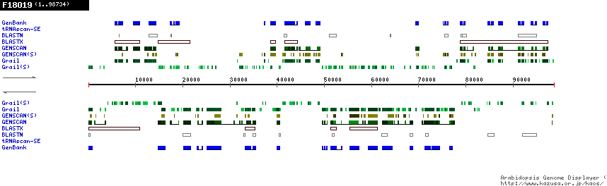 [Image of F18O19]