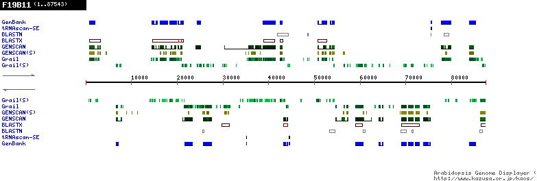 [Image of F19B11]