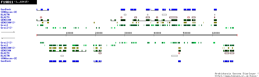 [Image of F19D11]