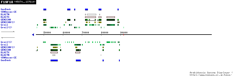 [Image of F19F18]