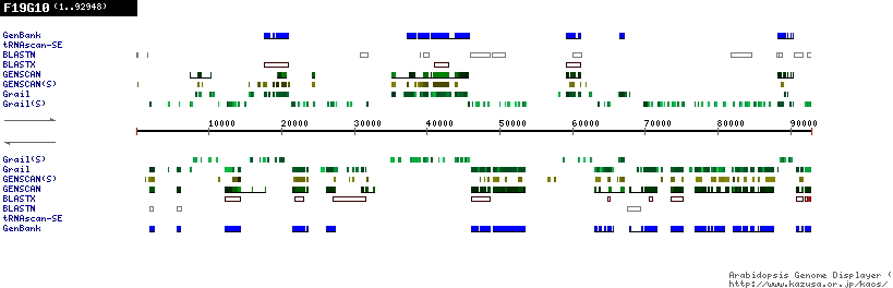 [Image of F19G10]