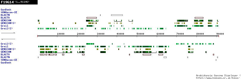 [Image of F19G14]