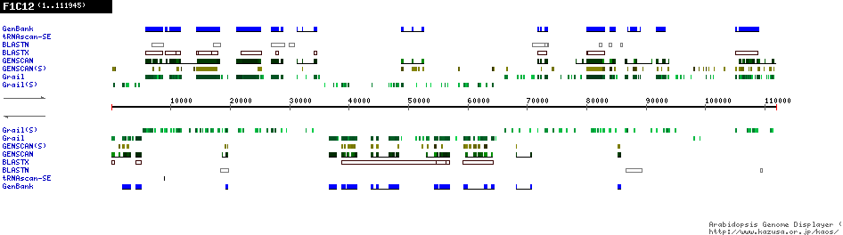 [Image of F1C12]