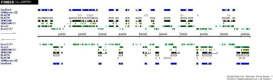 [Image of F20B18]