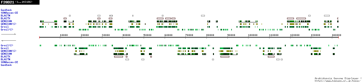 [Image of F20D21]