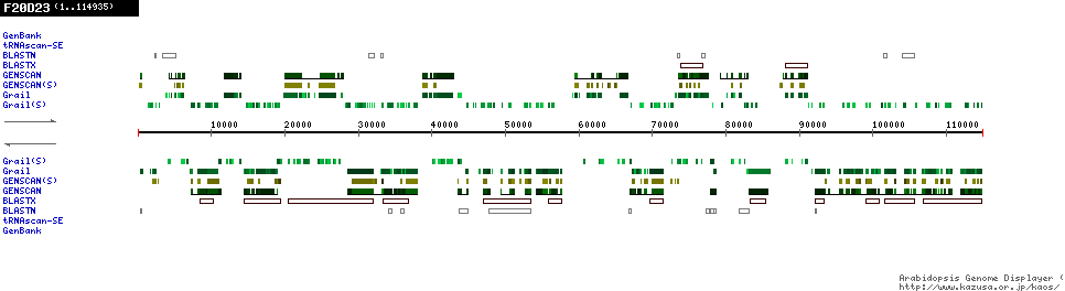 [Image of F20D23]