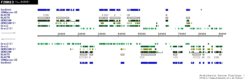 [Image of F20M13]