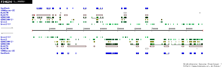 [Image of F24G24]