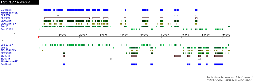 [Image of F25P17]