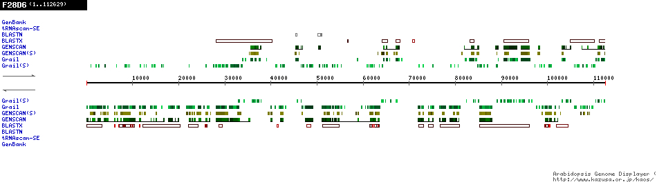 [Image of F28D6]