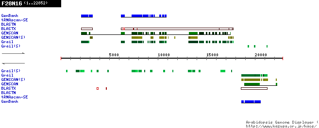 [Image of F28N16]