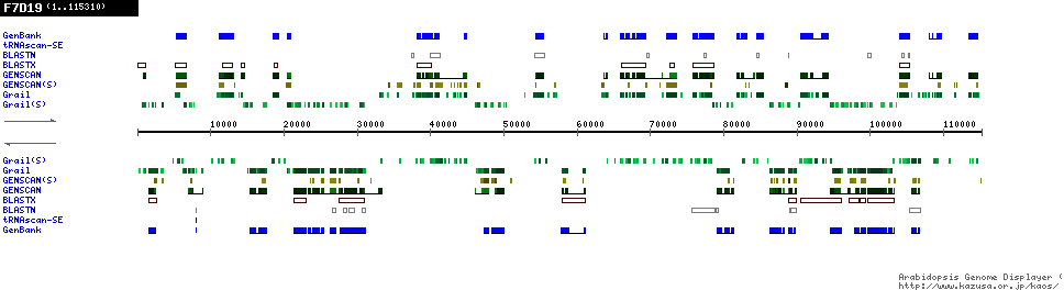 [Image of F7D19]